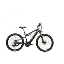 Full Suspension Electric Bicycle For Sale